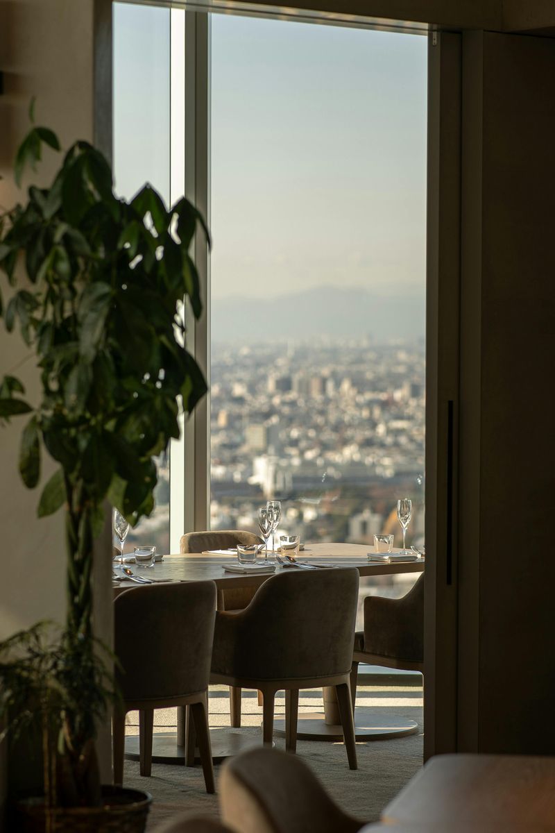 Chippendale Wing Chairs