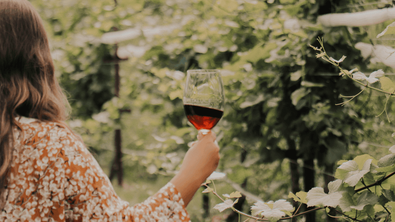 Dahlonega Wine Country