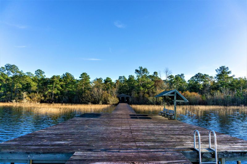 This Hidden North Carolina Lake Holds Mysteries You Have To See - Decor Hint Unique Flora Includes Botanical Rarities