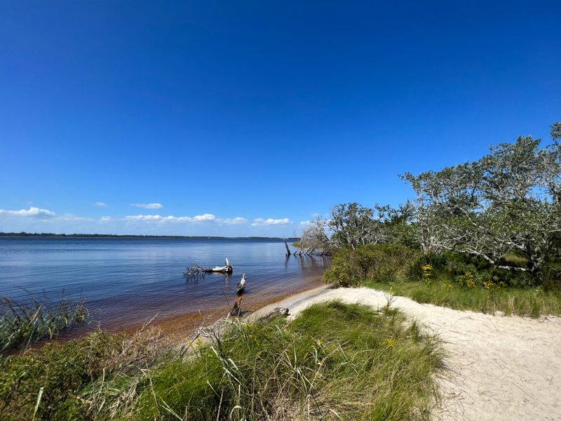 Paddling Adventures Through Tidal Waterways