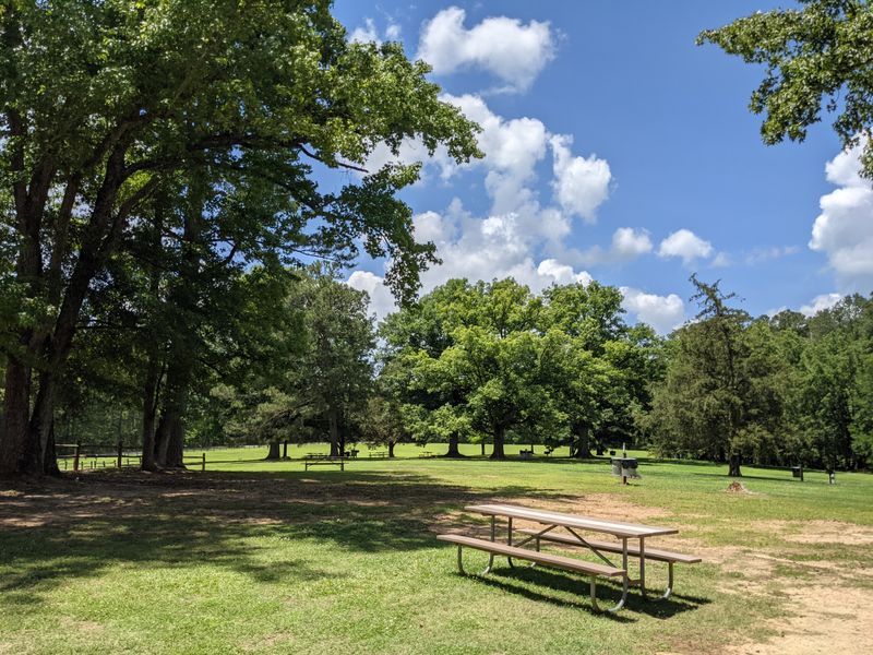 Picnic Meadows Perfect For Family Gatherings