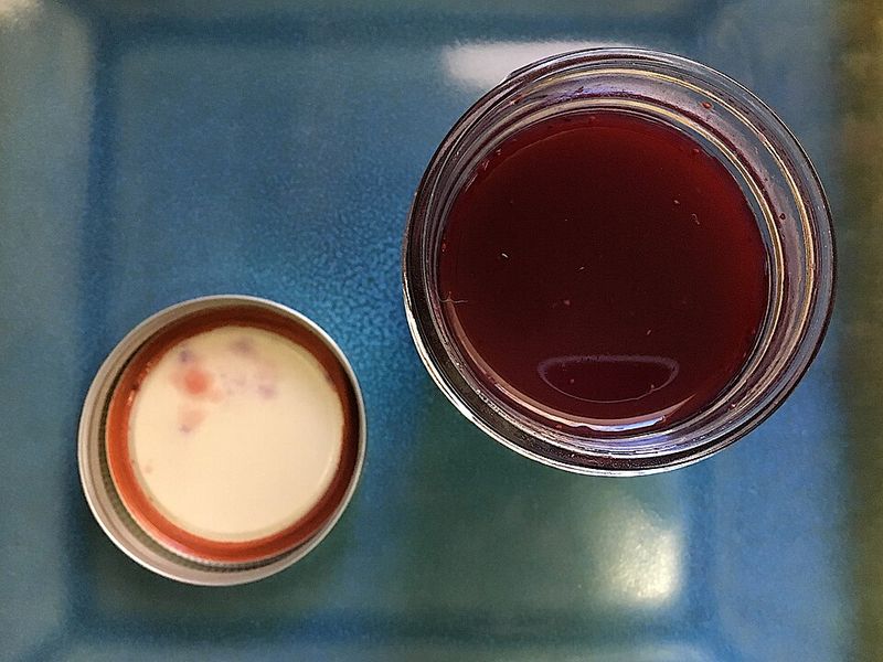 12 Once-Beloved Arizona Foods Locals Say Are Nearly Impossible To Find Now - Decor Hint Prickly Pear Jelly