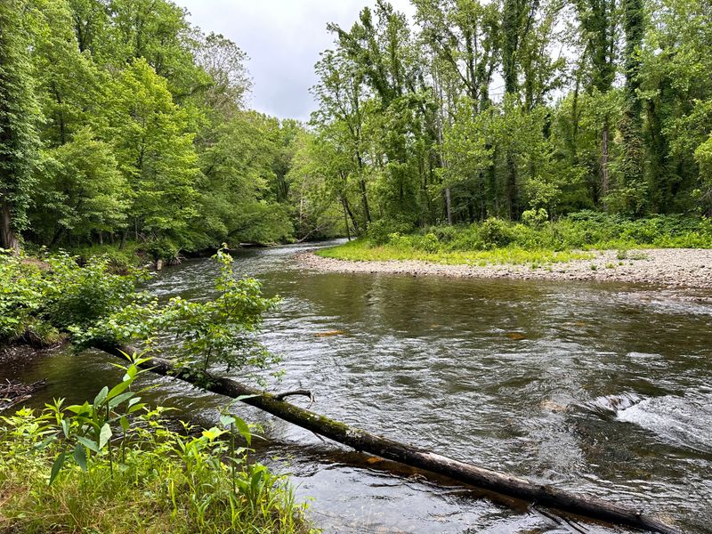 13 Rookie Mistakes To Dodge In North Carolina's Smokies - Decor Hint Leaving Trash And Food Waste On Trails And Campsites