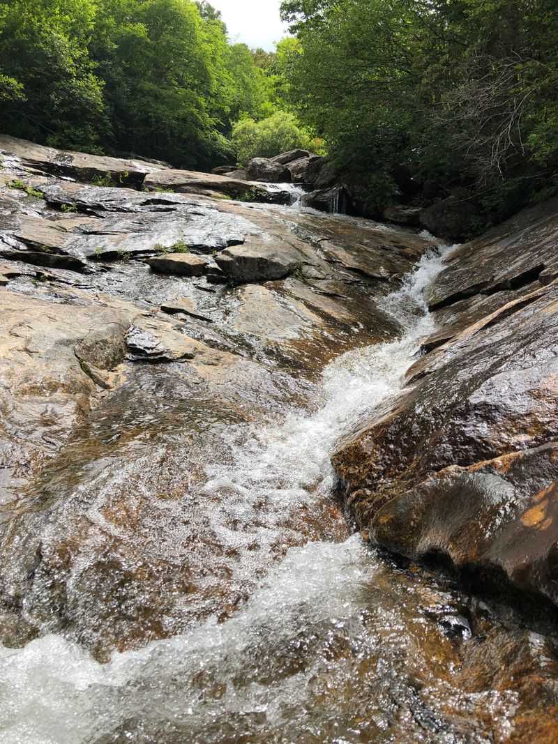 Discover The Best Of North Carolina's Smoky Mountains - Decor Hint Graveyard Fields: Blueberry Heaven And Waterfall Trails