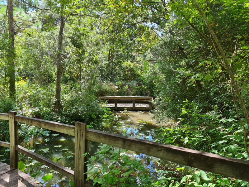 Piedmont Nature Trails Wind Through Urban Forest