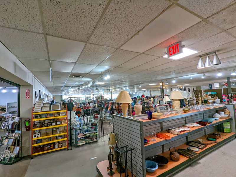 Volunteer Opportunities That Welcome Everyone