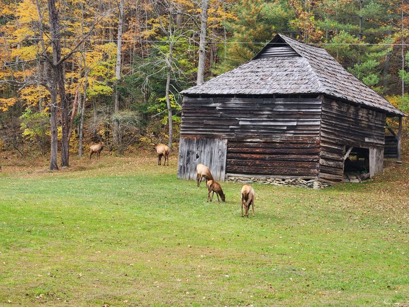 This North Carolina Ghost Town Is A Chilling Step Back In Time - Decor Hint Farming the Mountain Way