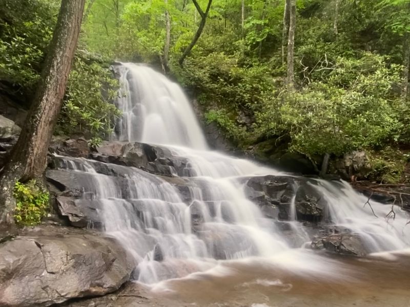Discover The Best Of North Carolina's Smoky Mountains - Decor Hint Laurel Falls Trail: Waterfall Magic For Everyone