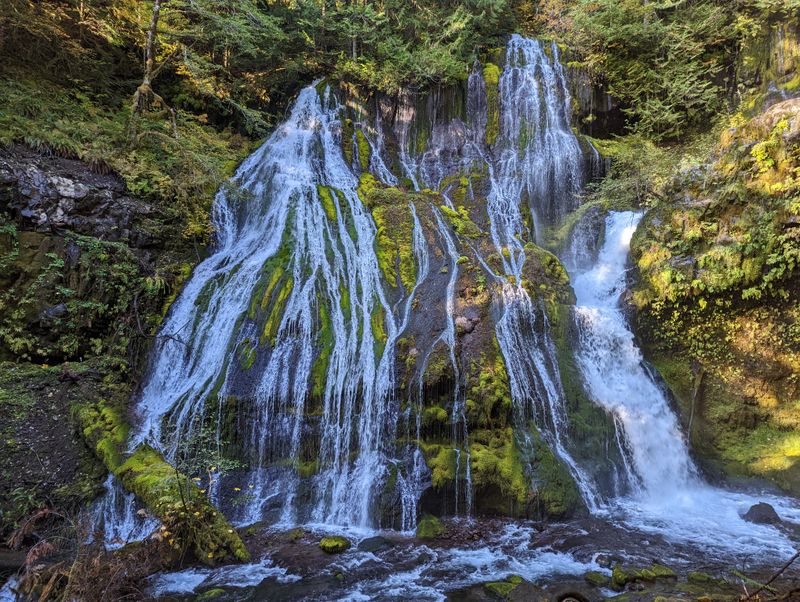 Panther Creek Falls Trail