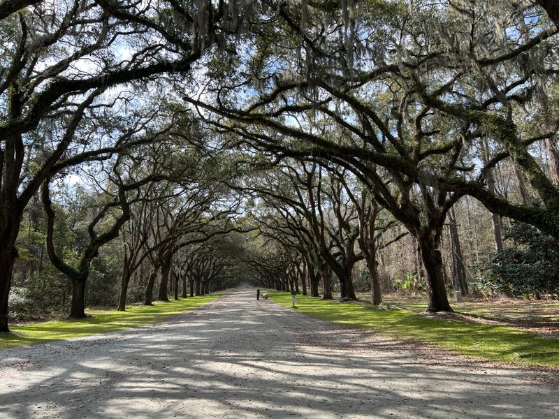 Amazing Places In Georgia Even Lifelong Residents Often Miss - Decor Hint Wormsloe Historic Site
