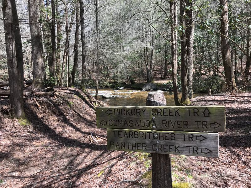 Cohutta Wilderness Dispersed Camping
