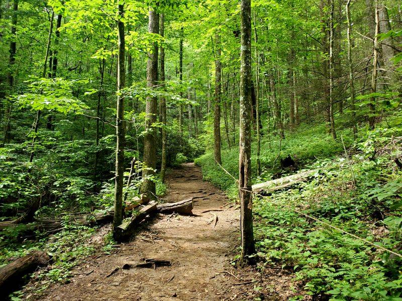 Blood Mountain Trail