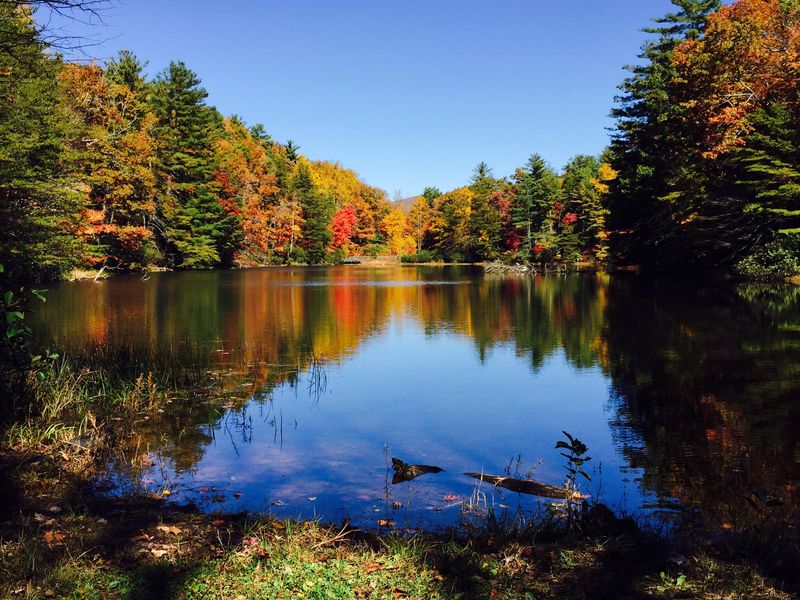 Dockery Lake Dispersed Sites