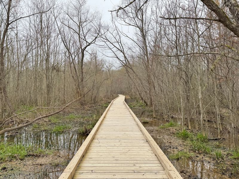 Mason Farm Biological Reserve Protects Natural Habitats