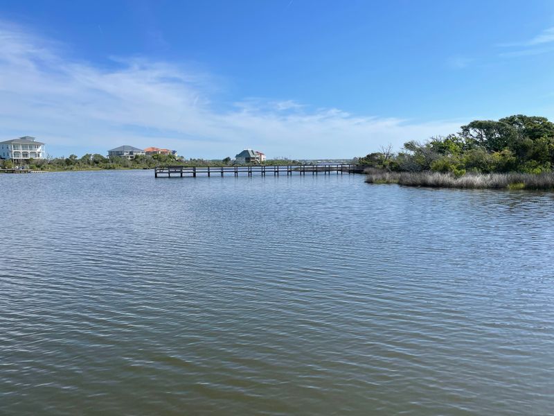 Natural Beauty Sustains Diverse Wildlife