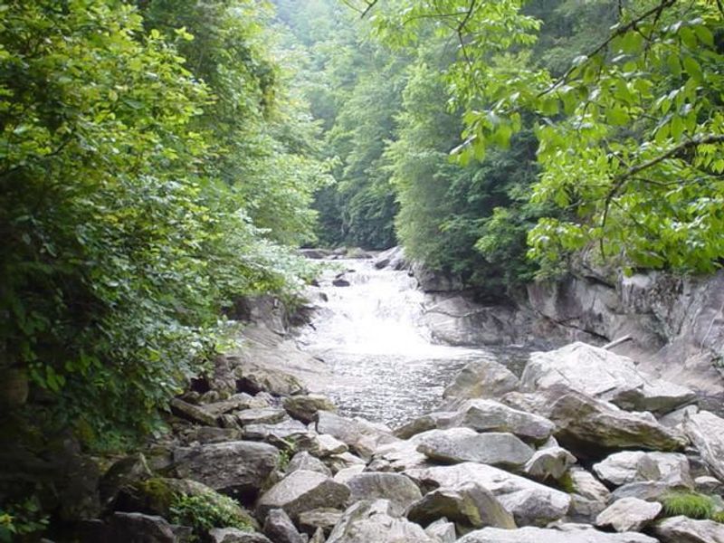 Discover North Carolina's Hidden Waterfall Paradise - Decor Hint Downstream Discovery Adventure