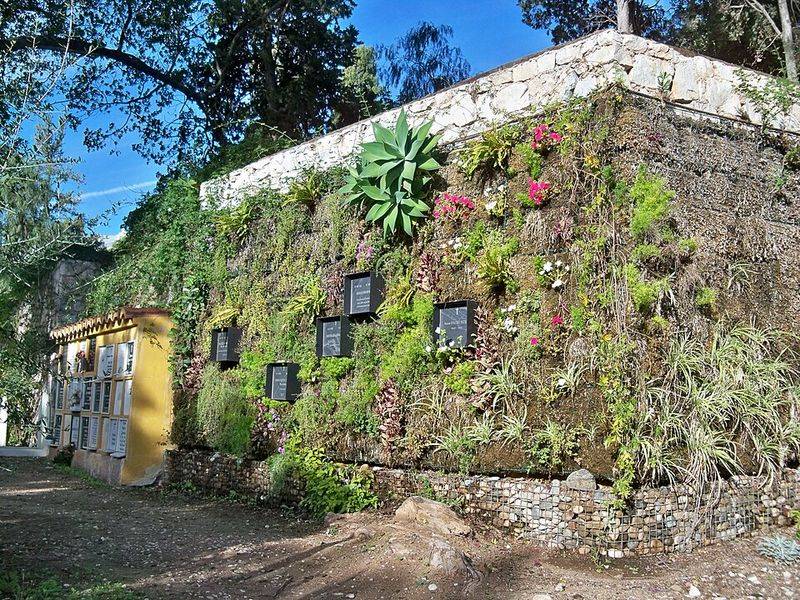 10 Smart Florida Patio Designs That Beat The Elements - Decor Hint Vertical Garden Micro Oasis