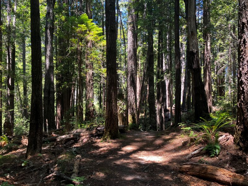 This Tiny California State Park Feels Worlds Away From Everyday Stress - Decor Hint Best Times To Visit Are Spring Through Fall