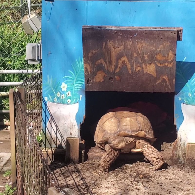 Clean And Well-Maintained Facilities