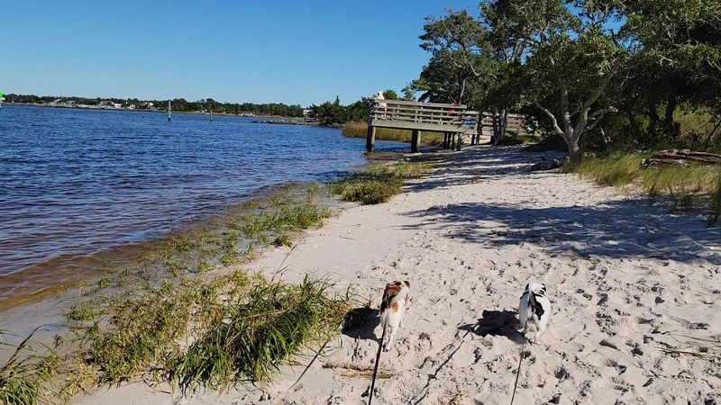 These Are The Places North Carolina Locals Love Showing Off To Visitors - Decor Hint Carolina Beach State Park, Carolina Beach
