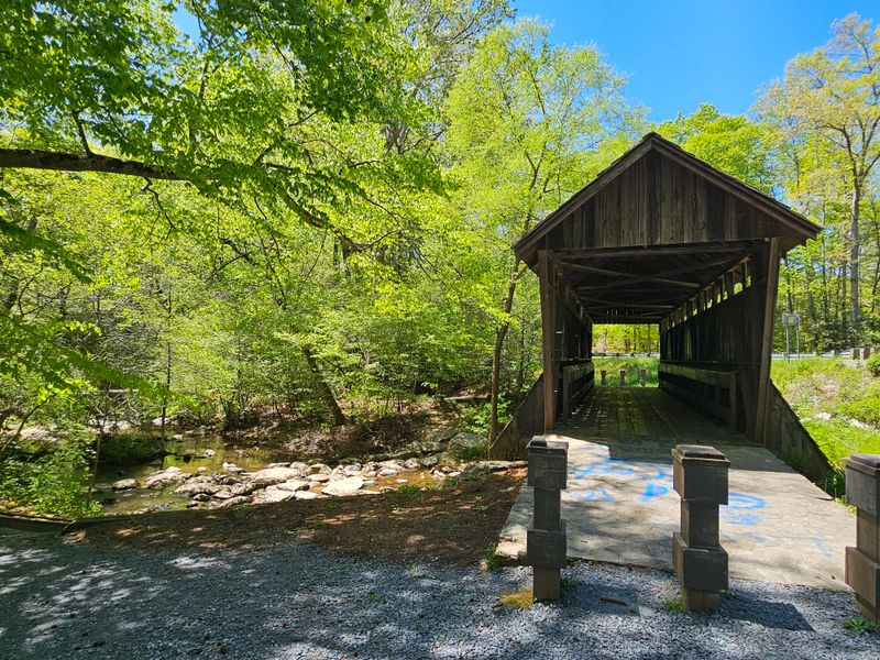 Uwharrie National Forest: Ancient Mountains Worn Gentle