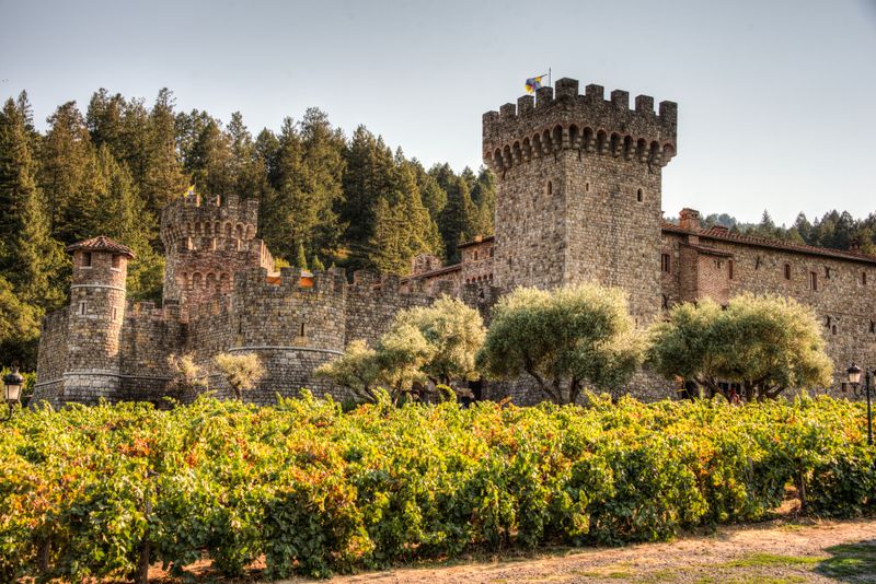 Celebrity Visitors Include Politicians, Athletes, And Entertainers