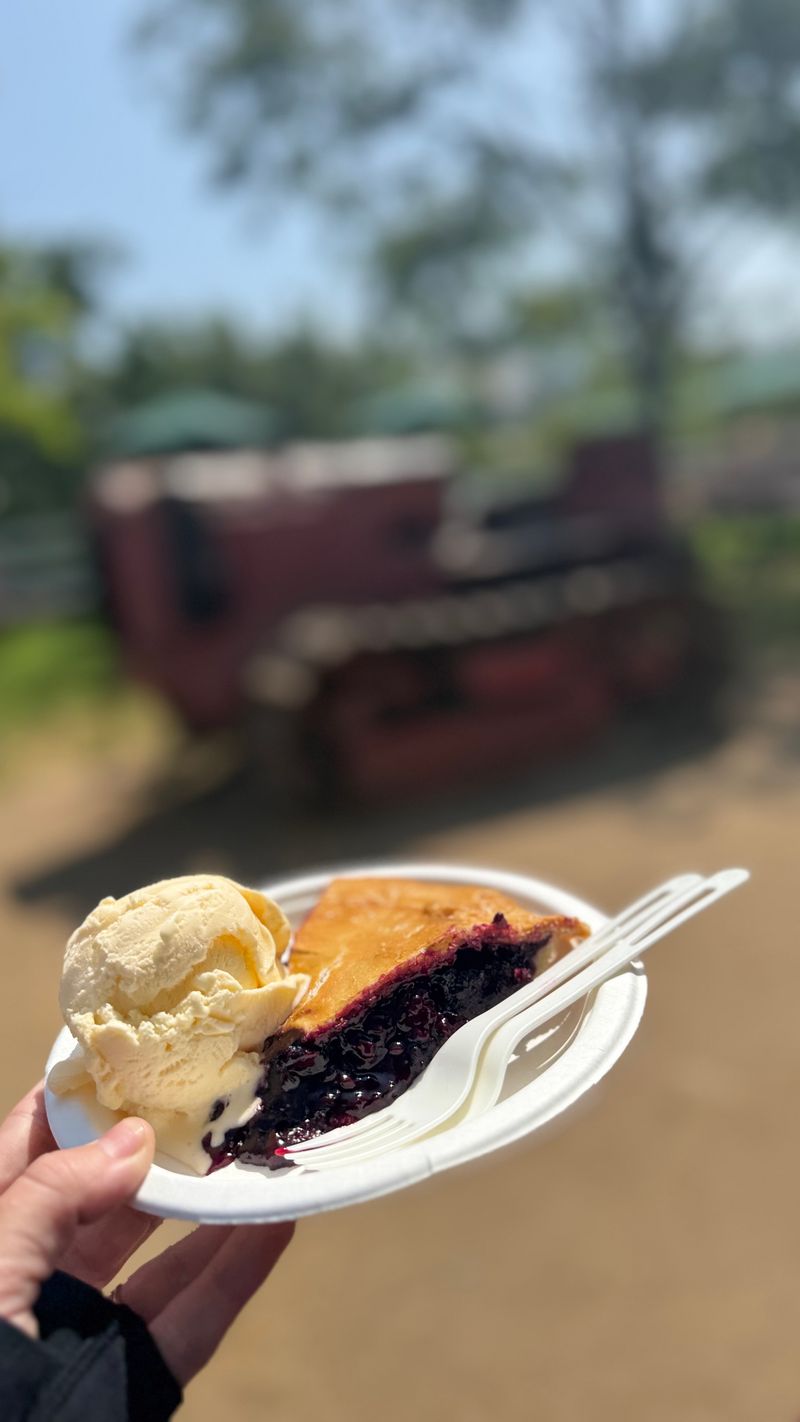 15 California Road Trip Foods Worth Pulling Over For Every Time - Decor Hint Olallieberry Pie