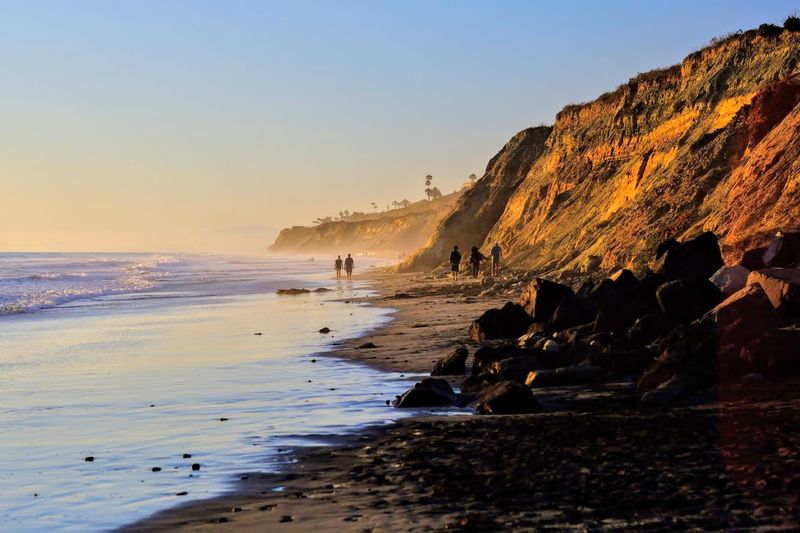 This San Diego, California 5-Day Itinerary Shows A Side Of The City Visitors Usually Miss - Decor Hint Day 5: Hike Torrey Pines State Reserve