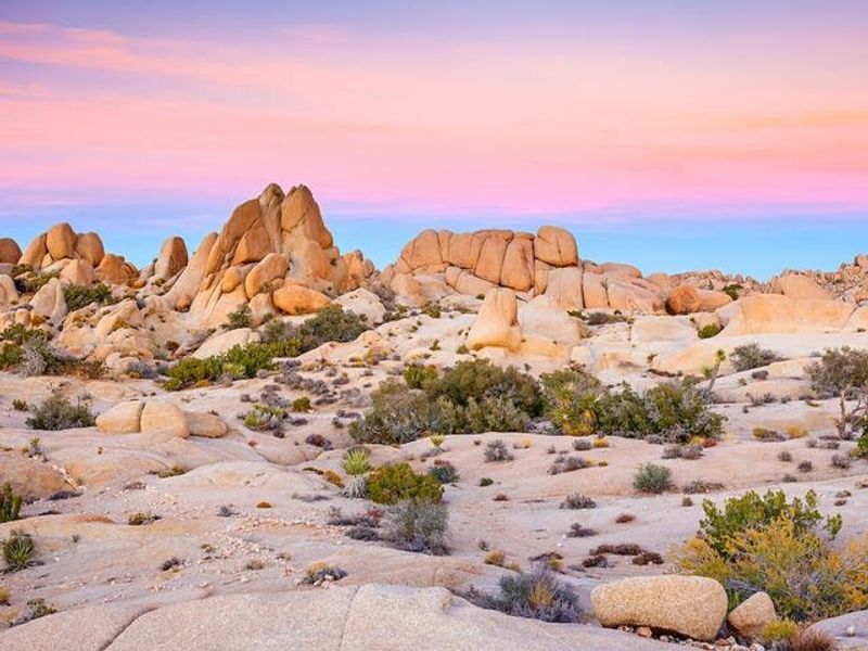 Joshua Tree National Park
