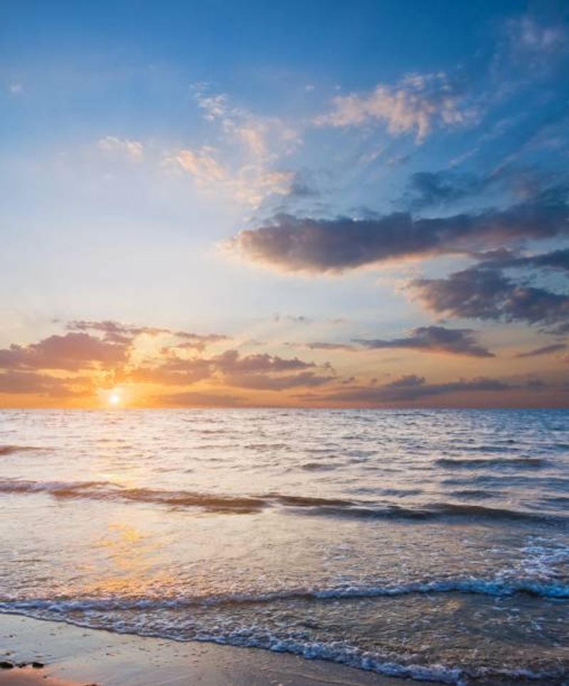 Exploring California's Most Famous Road Trip? These 13 Stops Make The Journey Legendary - Decor Hint Pescadero