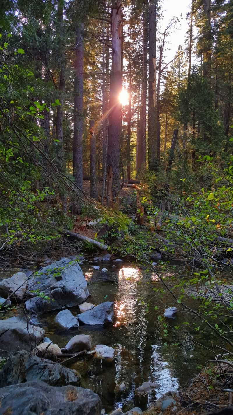 Year-Round Recreation From Hiking To Cross-Country Skiing
