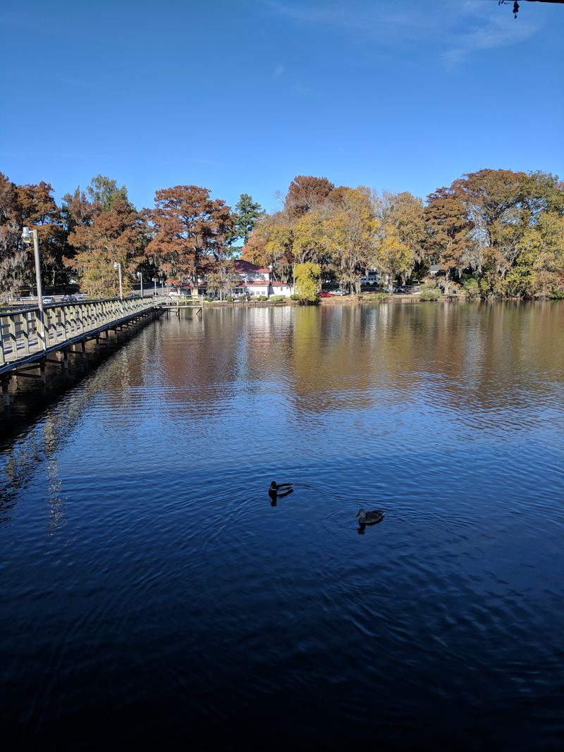 This Hidden North Carolina Lake Holds Mysteries You Have To See - Decor Hint Rich Birdlife Creates Year-Round Watching Opportunities