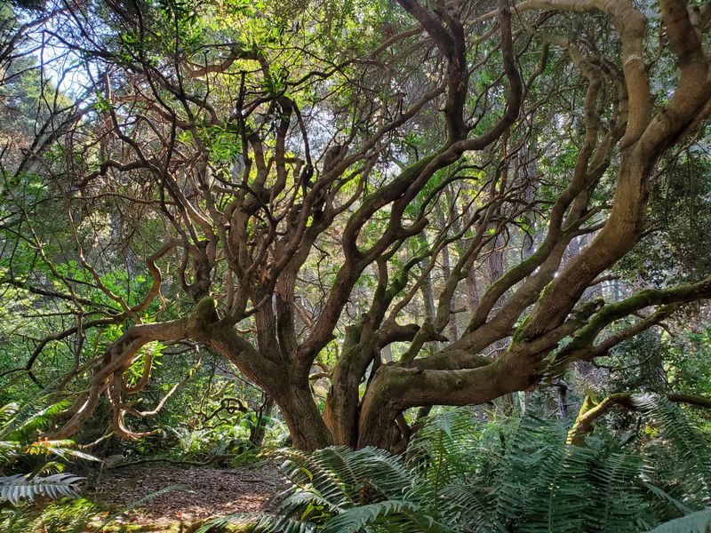 This Tiny California State Park Feels Worlds Away From Everyday Stress - Decor Hint Small Size Creates An Intimate, Peaceful Experience