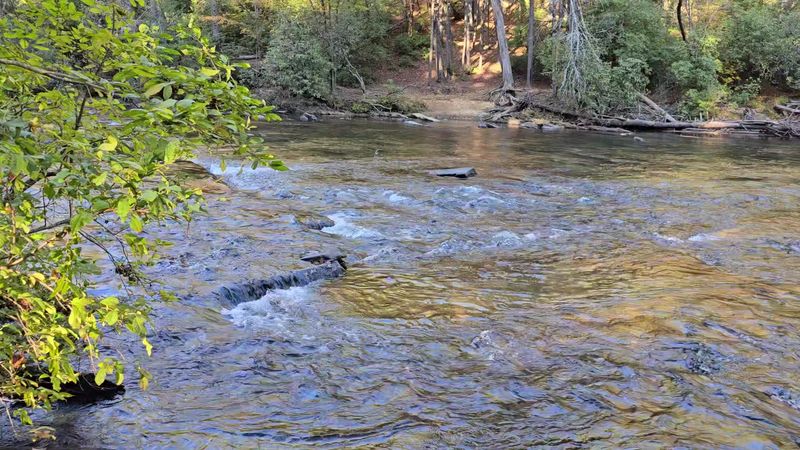 Cooper Creek Scenic Area Dispersed Camping