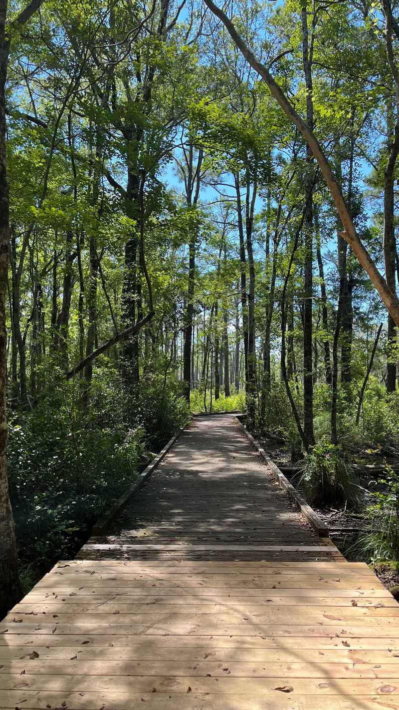 Ranger-Led Educational Programs