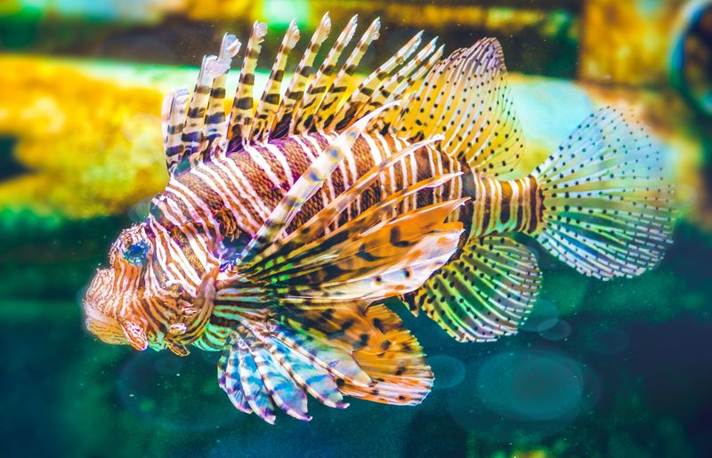 15 Reasons To Spend Your Next Weekend At The Georgia Aquarium - Decor Hint Special Events And Exhibitions