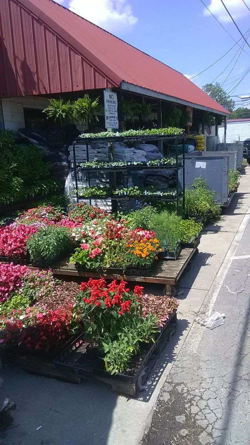 Murray County Farmers Market