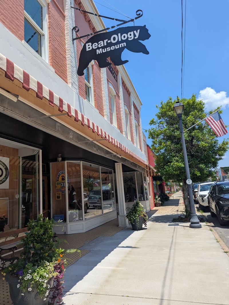 Bear-Themed Businesses Add Whimsy Throughout Town