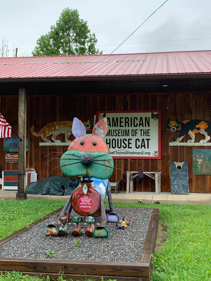 A Surprisingly Charming Cat Museum Is Hiding In North Carolina - Decor Hint Supporting The Catman2 No-Kill Shelter