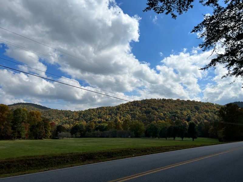 Wildlife Viewing Opportunities