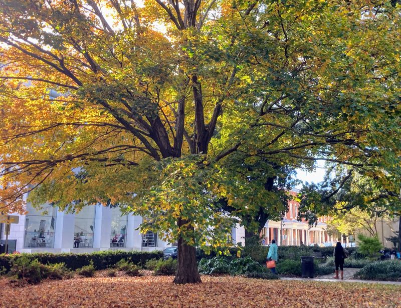 Weather-Friendly Planning