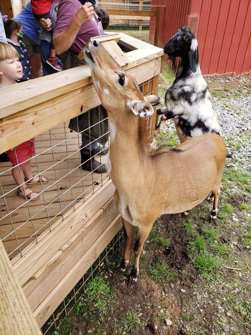 Exotic Bird Aviaries