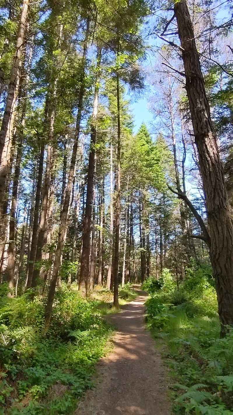 This Tiny California State Park Feels Worlds Away From Everyday Stress - Decor Hint Conservation Efforts Protect Unique Ecosystems