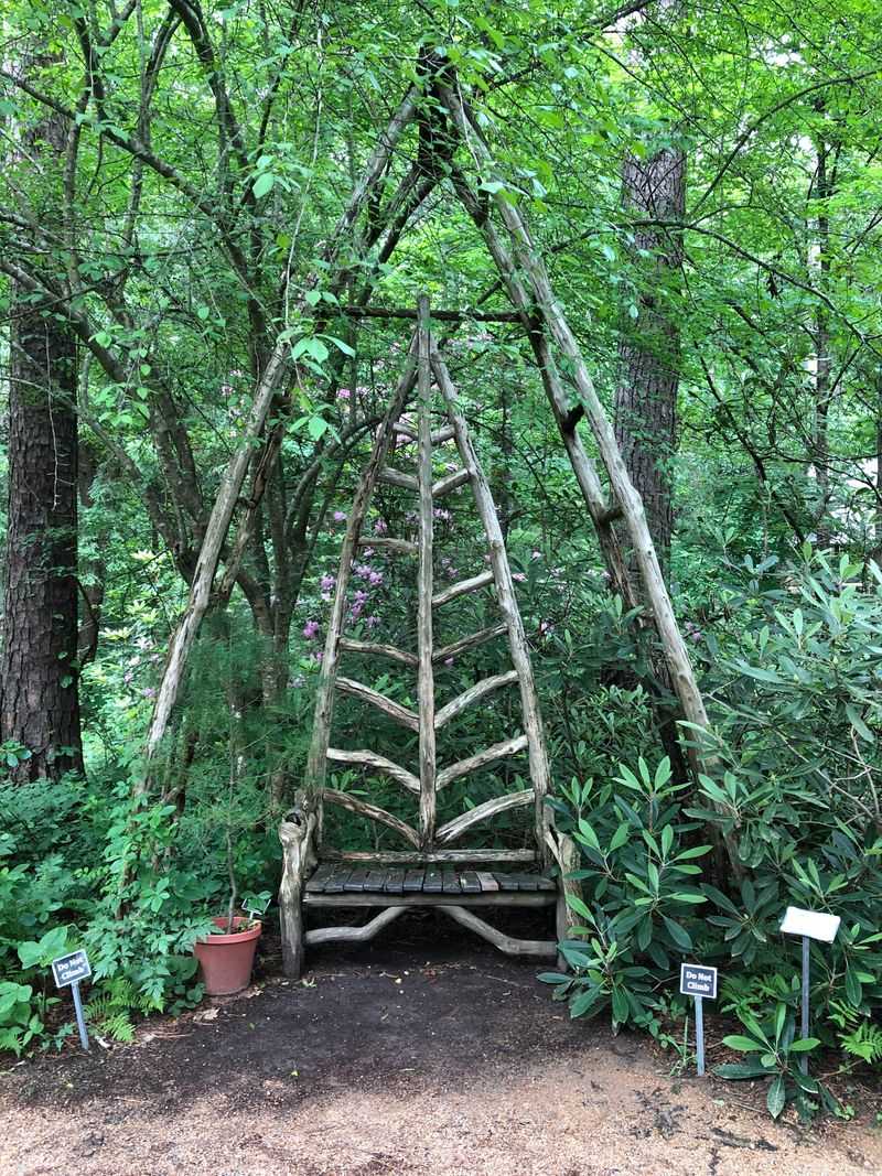 Volunteer And Internship Opportunities Build Community Connections