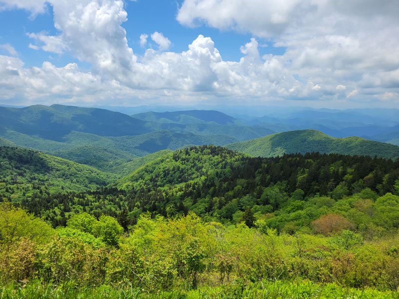 Nantahala National Forest: Wilderness Beyond Measure
