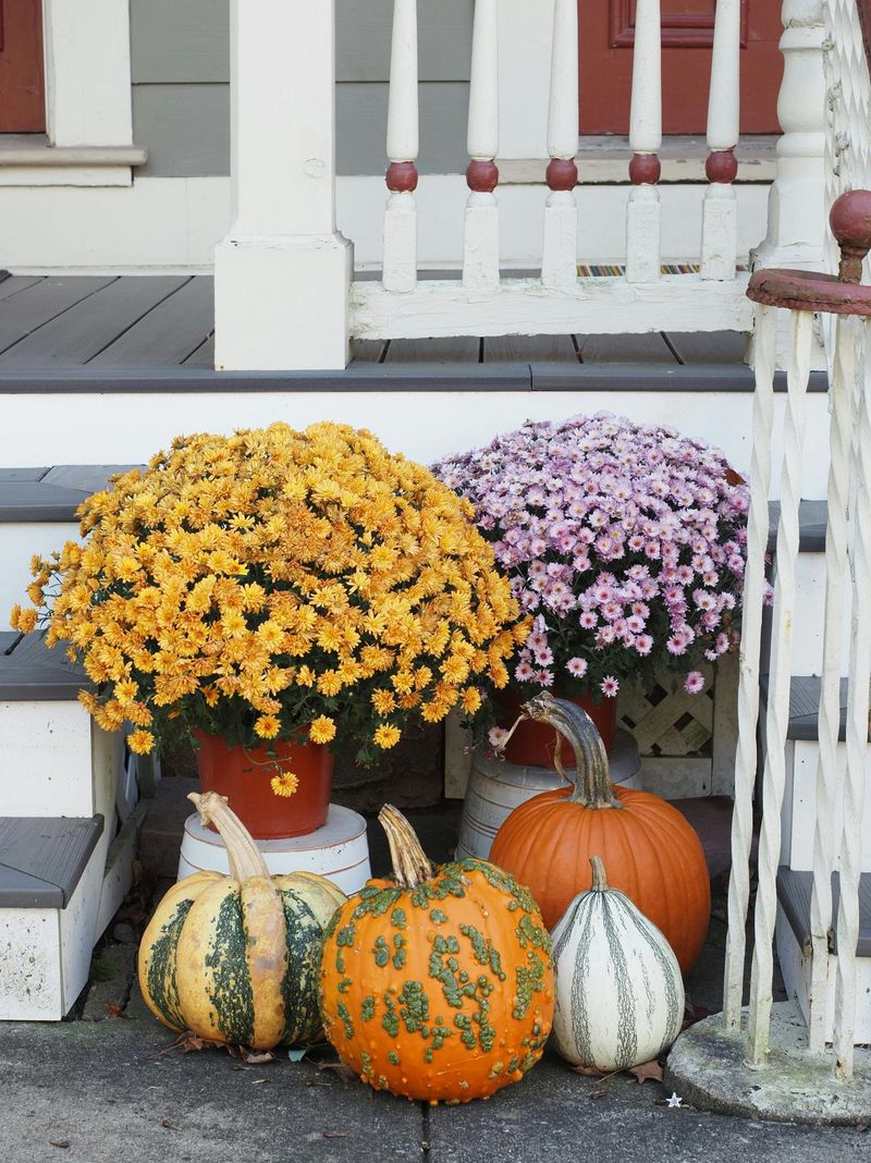 Locally-Sourced Materials With Soul