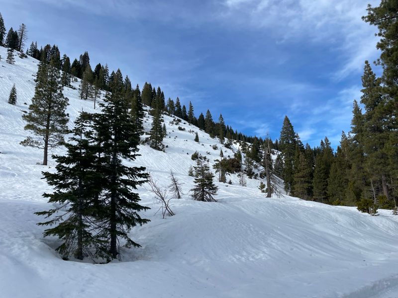 Longboard Skiing Tradition Dating To 1861