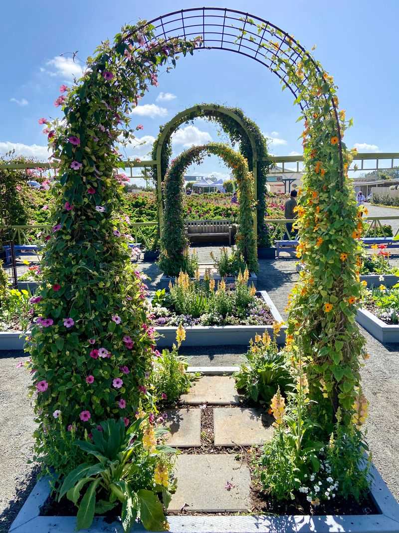 Activities Beyond Just Looking At Flowers