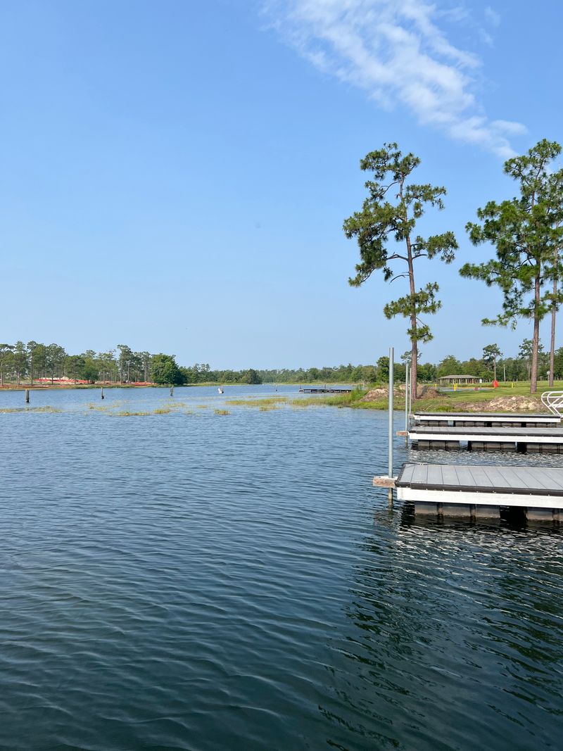 My Go To Park In Georgia For Wildlife Viewing Is Seminole State Park And This Is 15 Reasons Why It's So Special - Decor Hint Thriving Deer Population