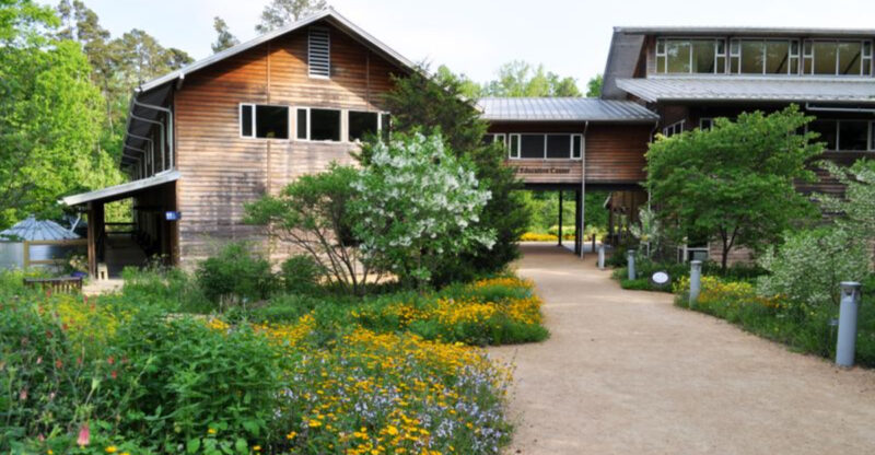 Explore North Carolina’s Dreamiest Botanical Garden